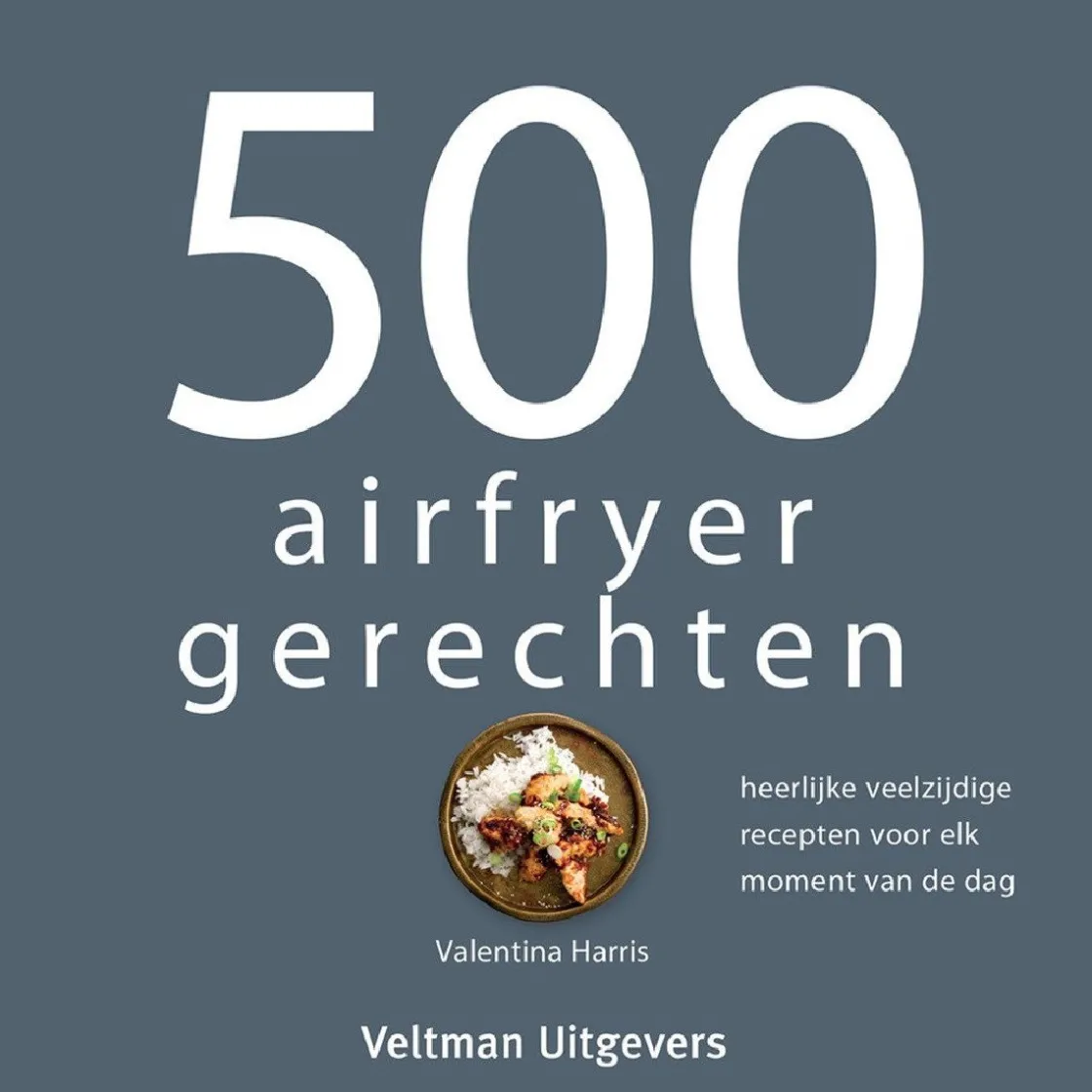 Boek: 500 Airfryer Gerechten* Bakboeken