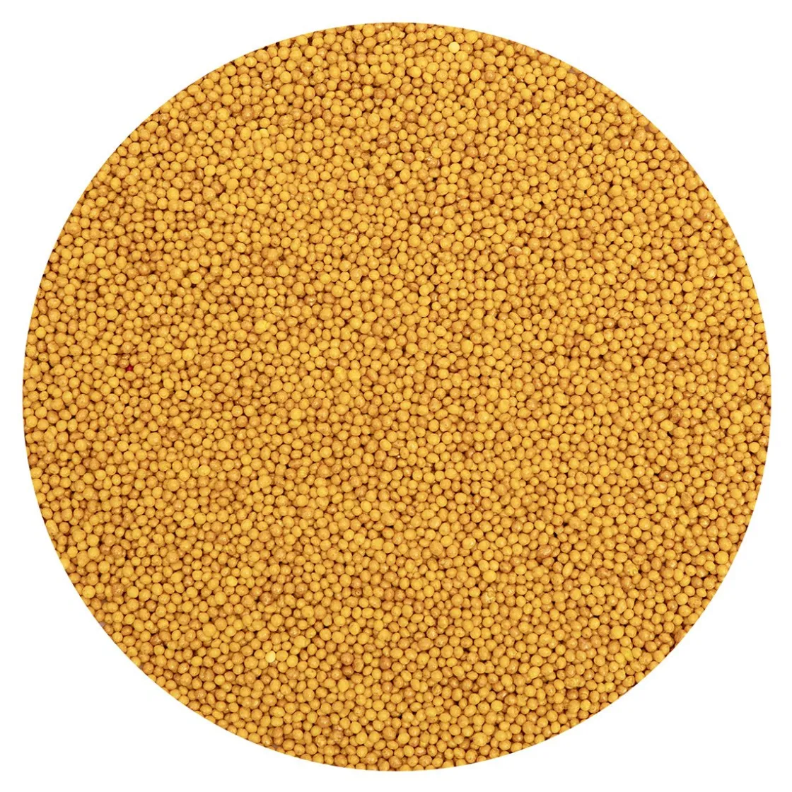 BrandNewCake Musketzaad Goud 10kg* Ijsdips|Eetbare Strooisels