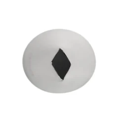 BrandNewCake Spuitmondje Blaadje #366* Spuitmondjes