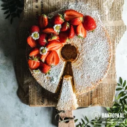 BrandNewCake Wijnsteen 80gr.* Hulpstoffen