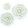 Culpitt Gumpaste Witte Rozen Assortiment 3st* Bloem Decoraties