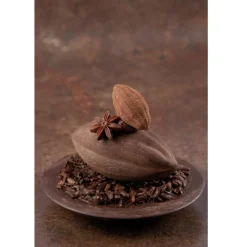 Dobla Chocoladedecoratie Cacaoboon (20 stuks)* Chocolade Decoraties|Chocolade Decoraties