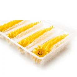 Dobla Chocoladedecoratie Lachende Zon (88 stuks)* Chocolade Decoraties|Chocolade Decoraties