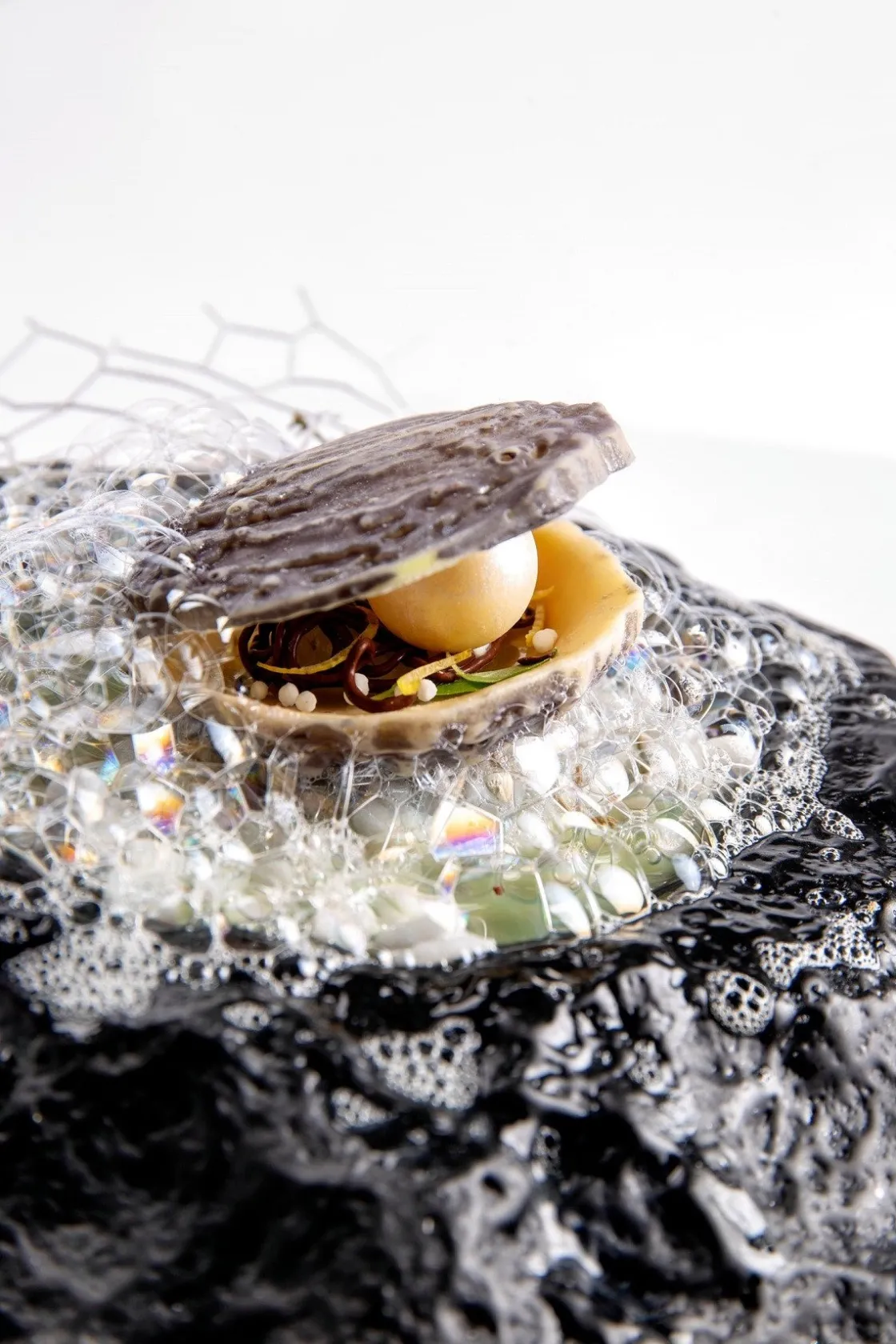 Dobla Chocoladedecoratie Oester (12 stuks)* Chocolade Decoraties|Chocolade Decoraties