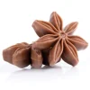 Dobla Chocoladedecoratie Steranijs (54 stuks)* Figuur Decoraties|Chocolade Decoraties
