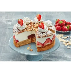 Dreidoppel Bavaroise/Fond Kwark 5kg*** Hulpstoffen En Bindmiddelen|Hulpstoffen