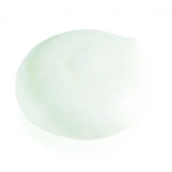 DV Foods DV Meringues Rond Ø6,5x2cm (52st)* Halffabricaten