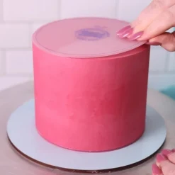 Frost Form Flexi Botercrème Plaat Rond 21,6cm Set/2* Smoothers