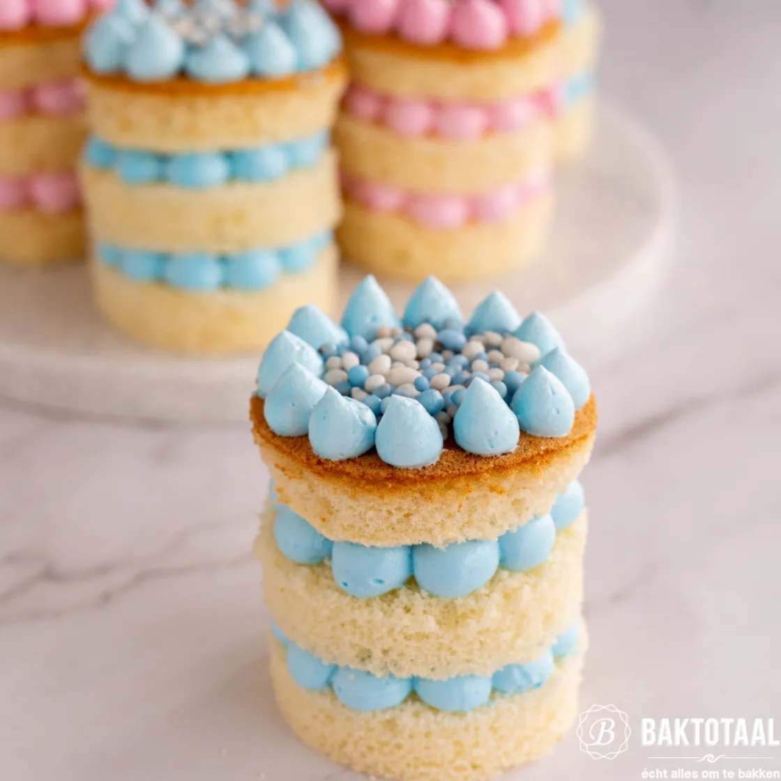 Overig Geboortestrooisel Anijs Roze/Wit 1,5kg* Eetbare Strooisels