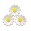 Günthart Suikerdecoratie Witte Bloemen 60st.* Bloem Decoraties