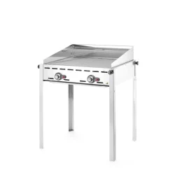 Hendi Green Fire 2 branders incl. 2 RVS GN 1/1 roosters* Bak- En Kookapparaten