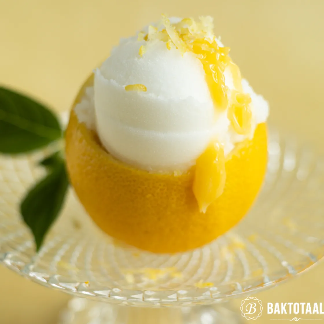 Overig IJsschep RVS Ø55mm* Ijsscheppen|Scheppen En Tangen