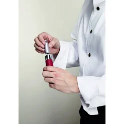 iSi Slagroompatronen Sparkwhip 50 stuks* Bakhulpmiddelen