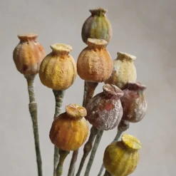 Katy Sue Mold Diverse Bloembladeren* Molds