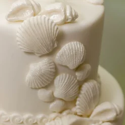 Katy Sue Mold Schelpen* Molds