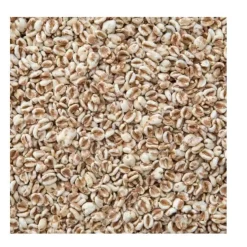 Molen de Hoop Gepofte Spelt 200g* Zaden, Granen, Noten En Vruchten