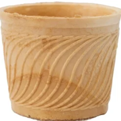 Njoy Eetbaar Bakje Ø75x60mm 150cc (204 stuks)* Wafels En Hoorntjes|Halffabricaten