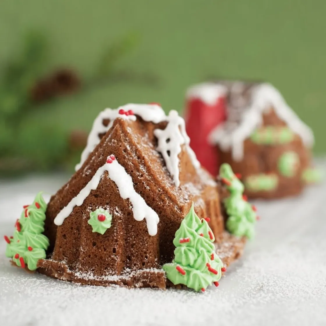 Nordic Ware Gingerbreadhuis Duet Bakvorm* Speciale Bakvormen