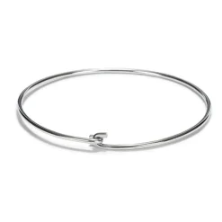 Patisse Ring t.b.v. Uitstekers RVS Ø12cm* Figuur Stekers