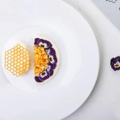 Pavoni Siliconen Vorm Honeycomb 67,5x60,5mm (8) 30x20cm* Ijs En Dessert Vormen|Bakvormen Siliconen