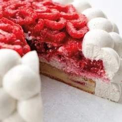 Pavoni Siliconen Vorm Nuage Ø18x6,5cm* Bakvormen Siliconen|Ijs En Dessert Vormen