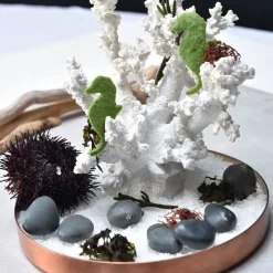 Pavoni Siliconen Vorm Stenen 36x28mm (28) 30x17,5cm* Ijs En Dessert Vormen|Bakvormen Siliconen