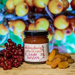 ReggeVallei Taartvulling Abrikozen-Rode Bessen 250g* Fruitvullingen