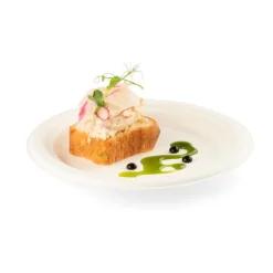 Overig Senza Suikerriet Bord Rond Ø17,5x1,6cm 40st.* Taartkartons En Randen