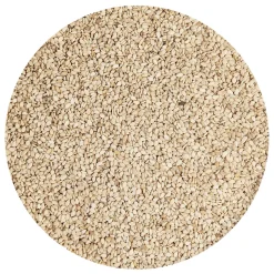 BrandNewCake Sesamzaad Ongepeld Geroosterd 250g* Zaden, Granen, Noten En Vruchten