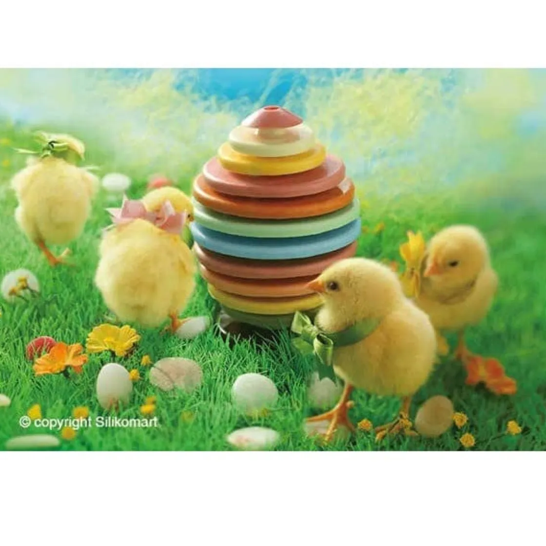 Silikomart Chocolade Vormset Ei Ø305x15(h)mm*** Vormsets