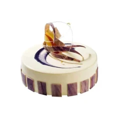 Silikomart Siliconen Bakvorm Rond Ø24x4,2cm + Ring* Ijs En Dessert Vormen|Bakvormen Siliconen