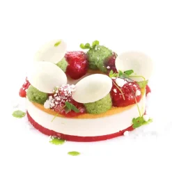 Silikomart Siliconen Vorm Kit Ring (6) Ø8,5/5cm* Ijs En Dessert Vormen|Bakvormen Siliconen