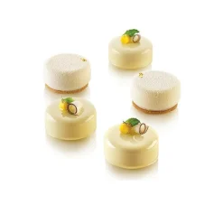 Silikomart Siliconen Vorm Essenziale (15) Ø45x20mm* Ijs En Dessert Vormen|Bakvormen Siliconen