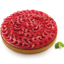 Silikomart Taartring Exoglass Geperforeerd Ø21x2cm* Dessertringen|Ronde Bakvormen