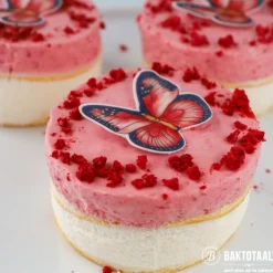 Städter Uitsteker Rond Glad RVS Ø10cm* Figuur Stekers