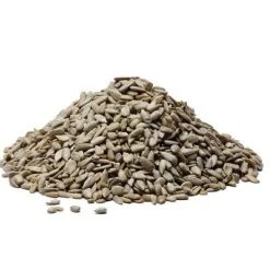 Stolp Zonnebloempitten 25kg*** Zaden, Granen, Noten En Vruchten