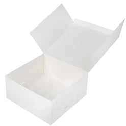 BrandNewCake Taartdoos 21x21x10cm. Wit 50st* Taartdozen