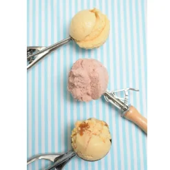 Tala IJsschep Hout* Ijsscheppen|Scheppen En Tangen