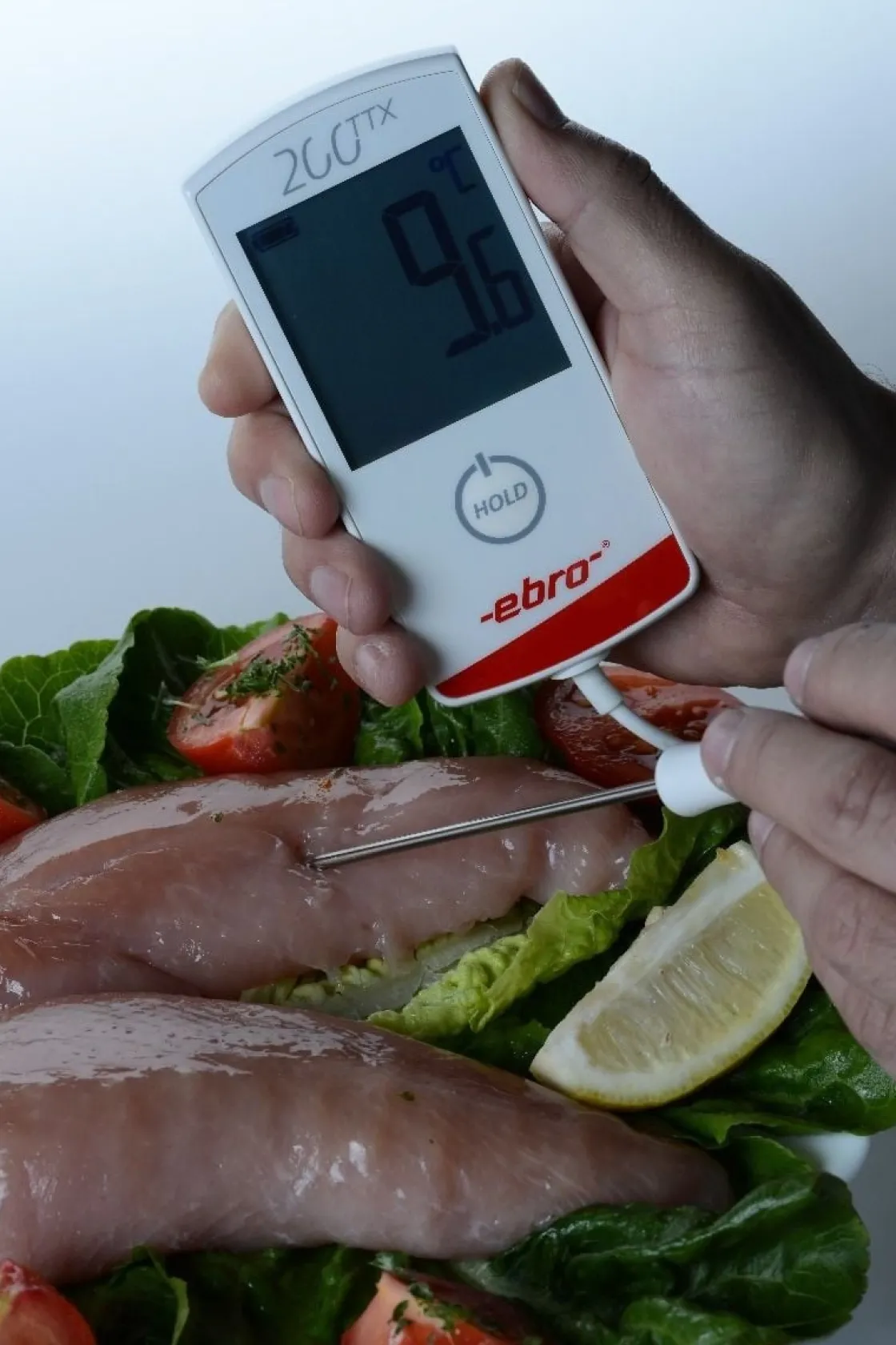 Ebro Thermometer Digitaal Geijkt -30 tot +200ºC TTX200* Thermometers En Timers