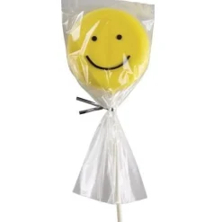 Wilton Cakepops / Lollipop zakjes 10x23cm 25st.* Zakken